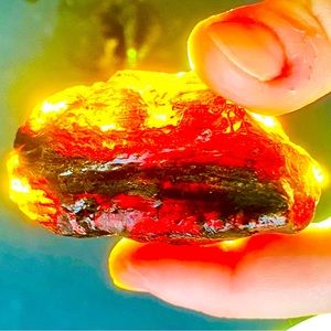 UV Active Indonesian Copal Amber Tree Resin Raw Rough Crystal Natural Mineral